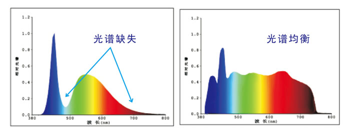 CS-810色差儀光譜圖